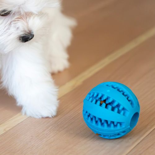 Pelota Dental Dispensadora