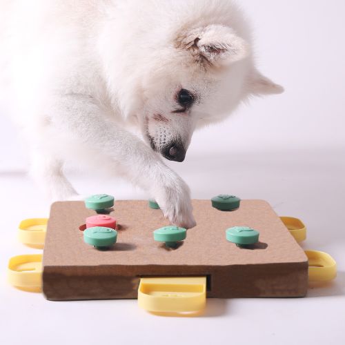 Juguete Interactivo de Estimulación Mental