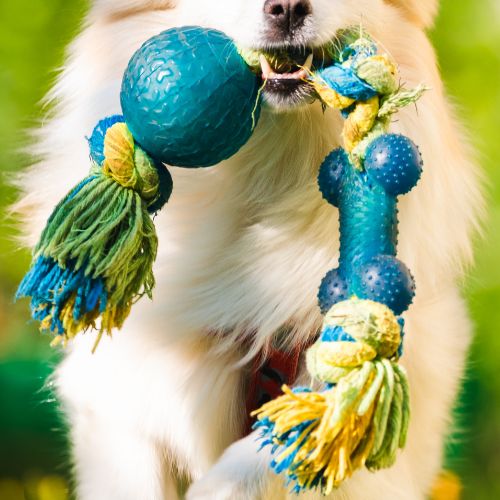 Juguete Mordedor con Cuerda y Pelota