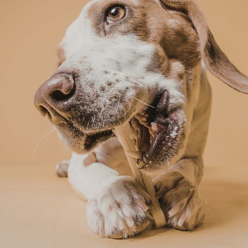 Hueso Natural Mordedor