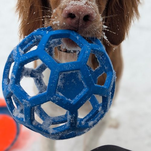 Pelota Hueca Resistente con sonido