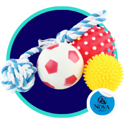 Juguetes para exterior