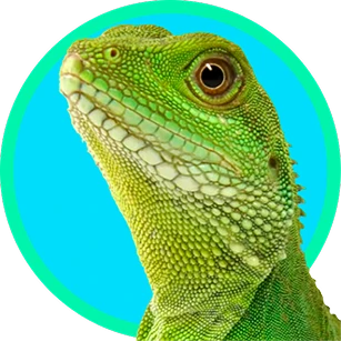 Juguete Mordedor de Bola Hueca